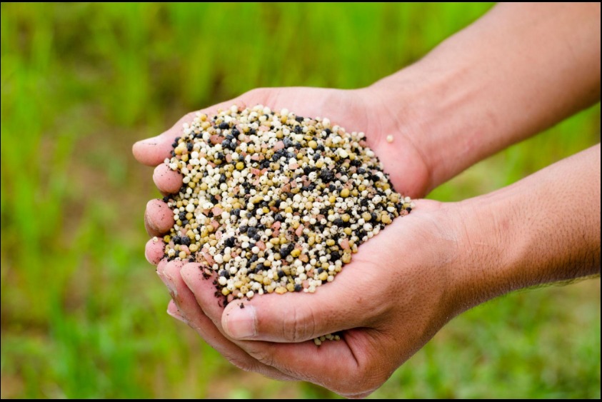 Organic Fertilizer Granules